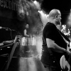 _D4S2836_klein