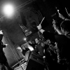 _D4S2856_klein