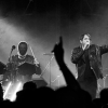 _NZ81229_klein