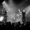 _NZ81278_klein