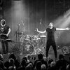 _NZ81280_klein