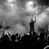 _NZ81306_klein