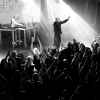 _NZ81381_klein