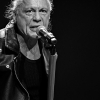 _NZ85993_klein