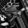 _DSC7945_klein