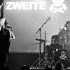 _NZ84347_klein