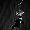 _D3S1669_klein
