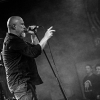 _NZ81559_klein