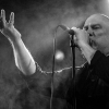 _NZ81571_klein