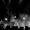 _NZ86054_klein