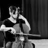 _D3S2380_klein