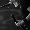 _NZ88897_klein