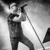 _NZ81523_klein