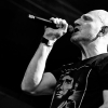 _D4S3588_klein