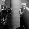 _NZ85394_klein