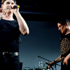 _NZ80715_klein