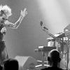 _NZ85313_klein
