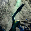 _NZ80291_klein