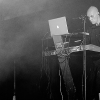 _D3S5331_klein
