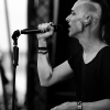 _D3S8303_klein