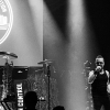 _NZ85022_klein