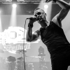 _NZ85028_klein