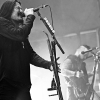_NZ84804_klein
