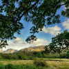 _DSC3316_klein
