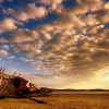 _DSC3340_klein