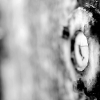 _D3S6653_klein