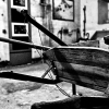 _D3S6659_klein