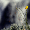 _D3S7376_klein