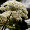 _D3S7599_klein