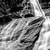 _DSC2950_klein