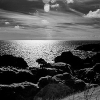 _DSC0825_klein