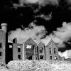 _DSC0828_klein