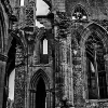 _DSC1113_klein