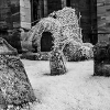 _DSC1164_klein