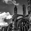 _DSC1169_klein