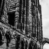 _DSC1248_klein