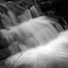 _DSC5458_klein
