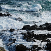 _DSC6463_klein
